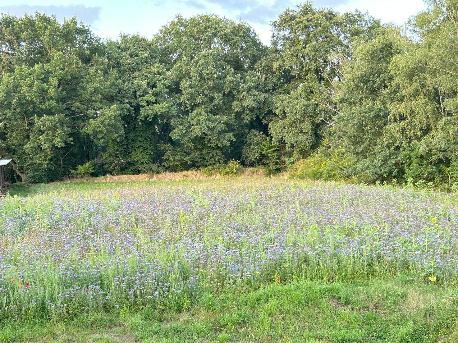 Xantener Ferienhaus Heeser Weg 外观 照片